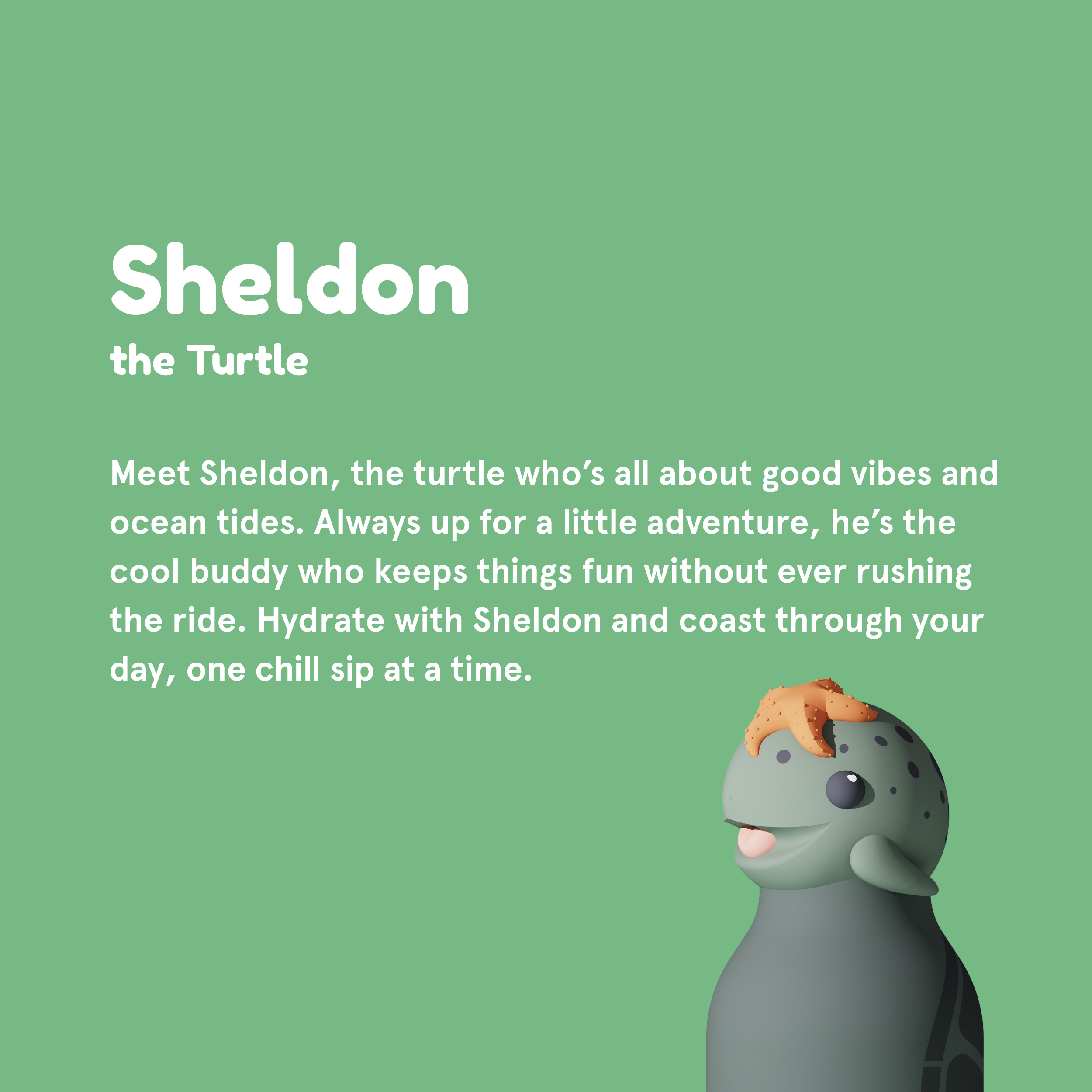 Turtle Bestie Bottle