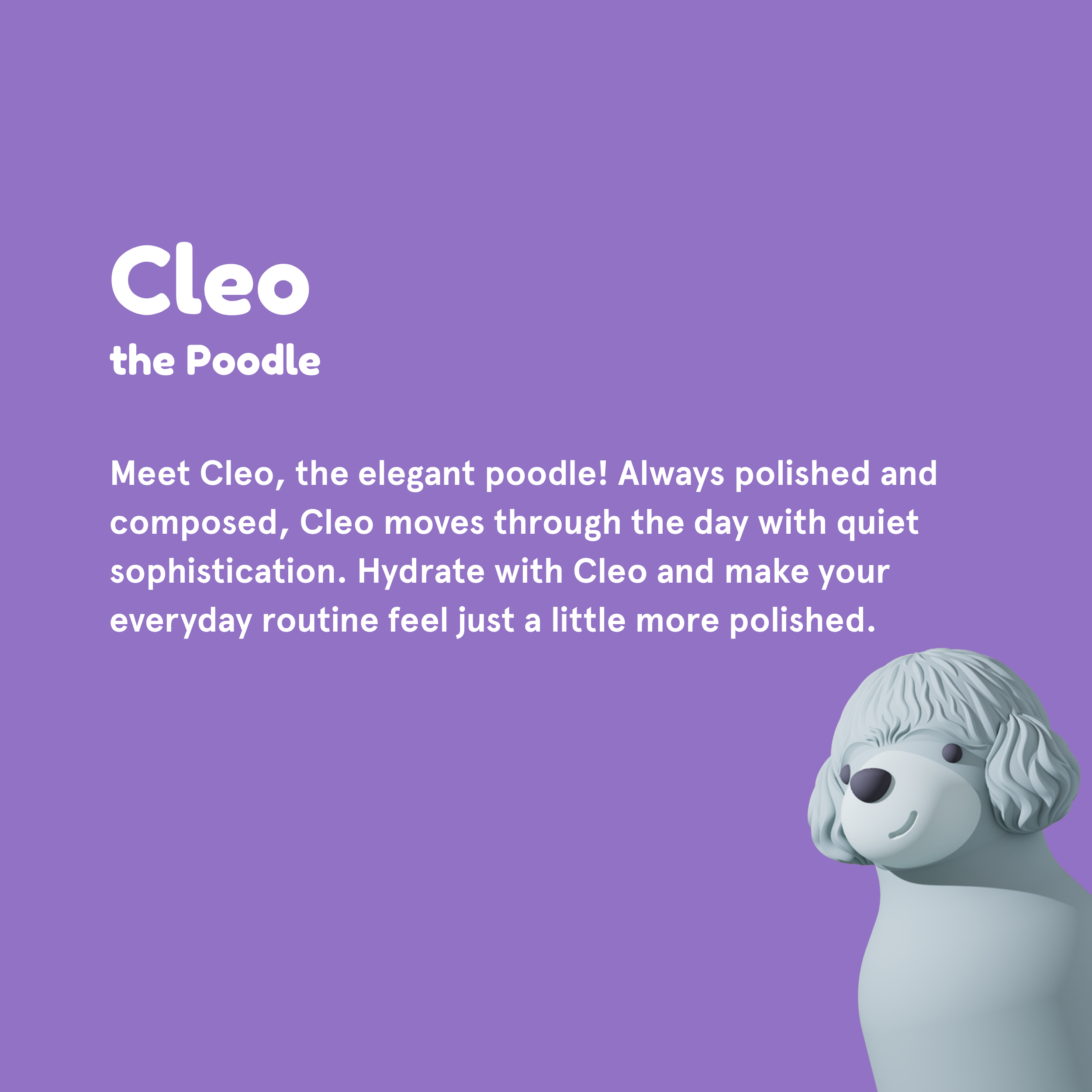 Poodle Bestie Bottle