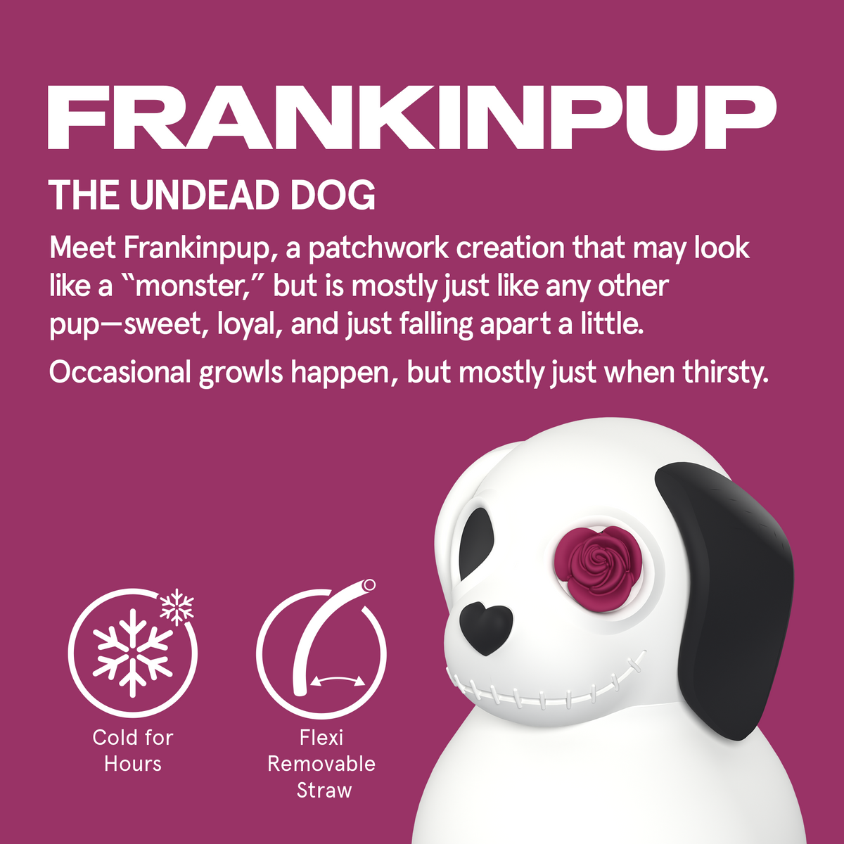 Maxi Undead Dog Spookie Bottle