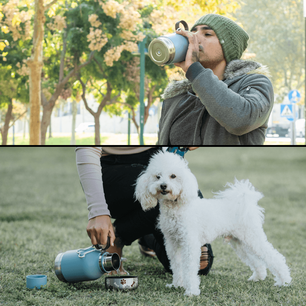 Blue Dog Bowl Bottle