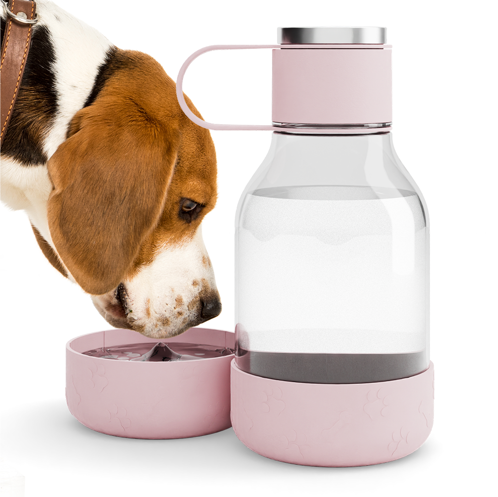 Pink Dog Bowl Bottle Lite
