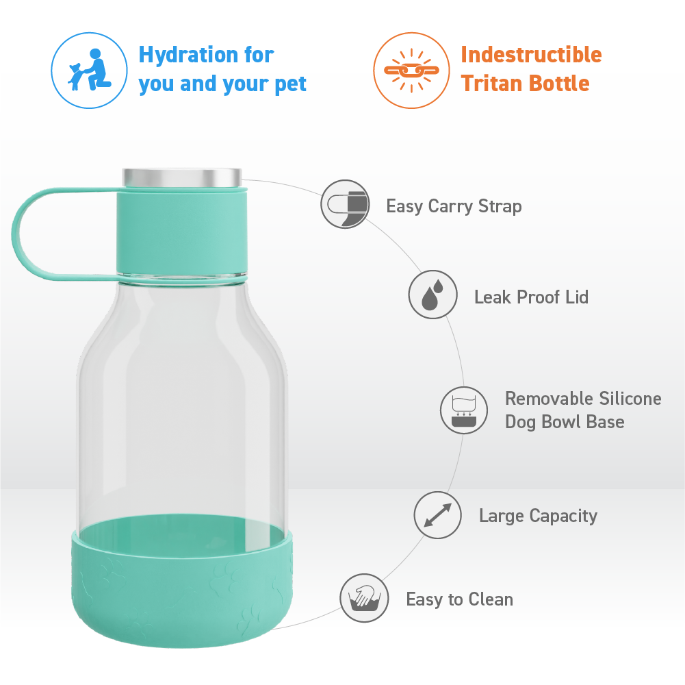Teal Dog Bowl Bottle Lite