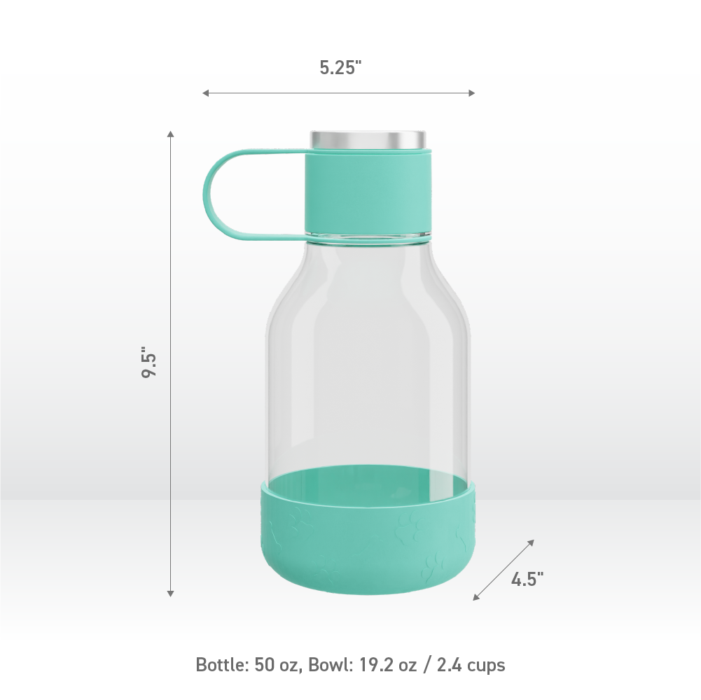 Teal Dog Bowl Bottle Lite